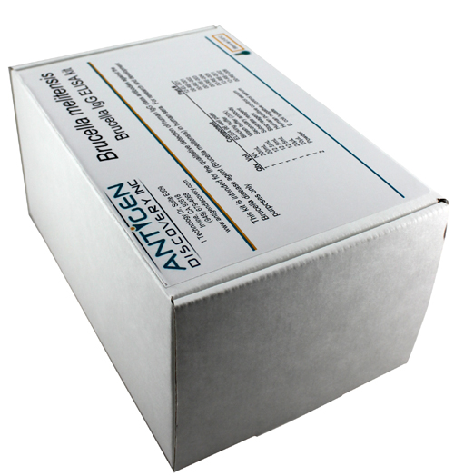 Vividlite Recycled Poly-Lam die cut foam set